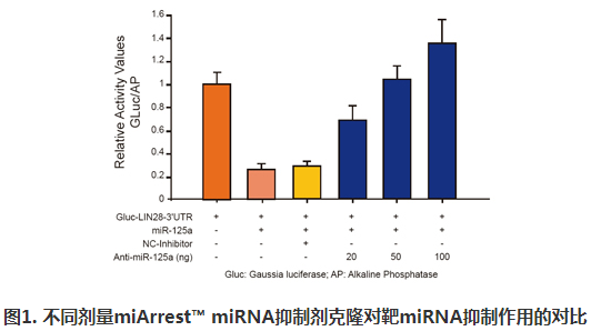 miArrest? miRNA抑制劑