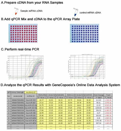 miProfile? miRNA qPCR Arrays