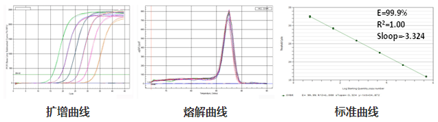 All-in-One? qPCR Mix and Validated Primers