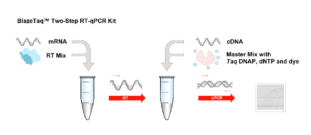 BlazeTaq? Probe qPCR Mix