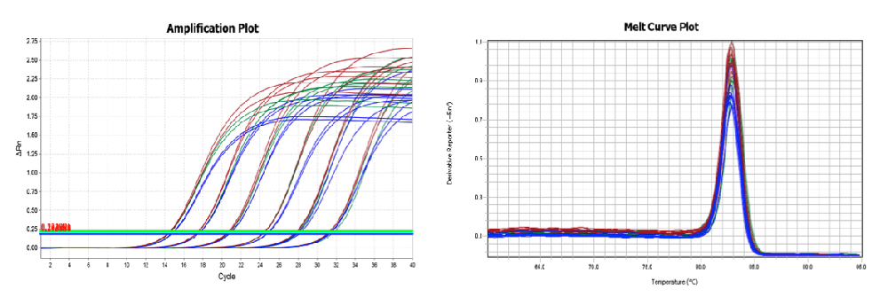 SureScript? First-Strand cDNA Synthesis Kit